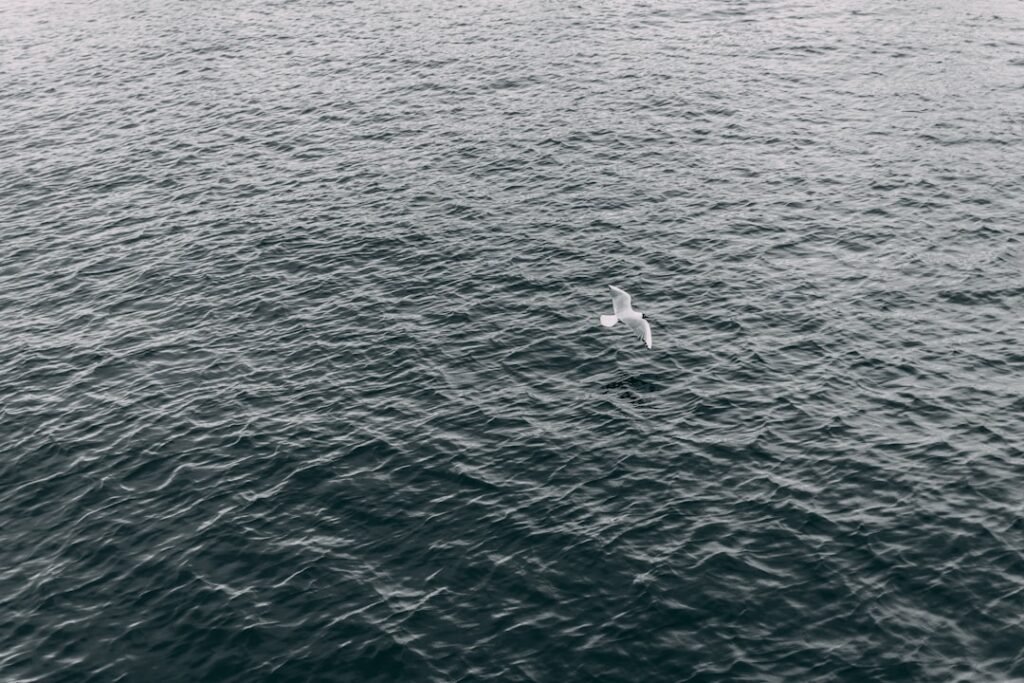 Photo norwegian language learning