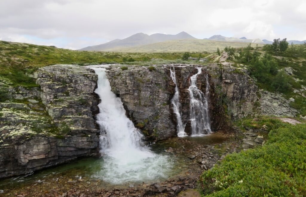 Photo citizenship in norway
