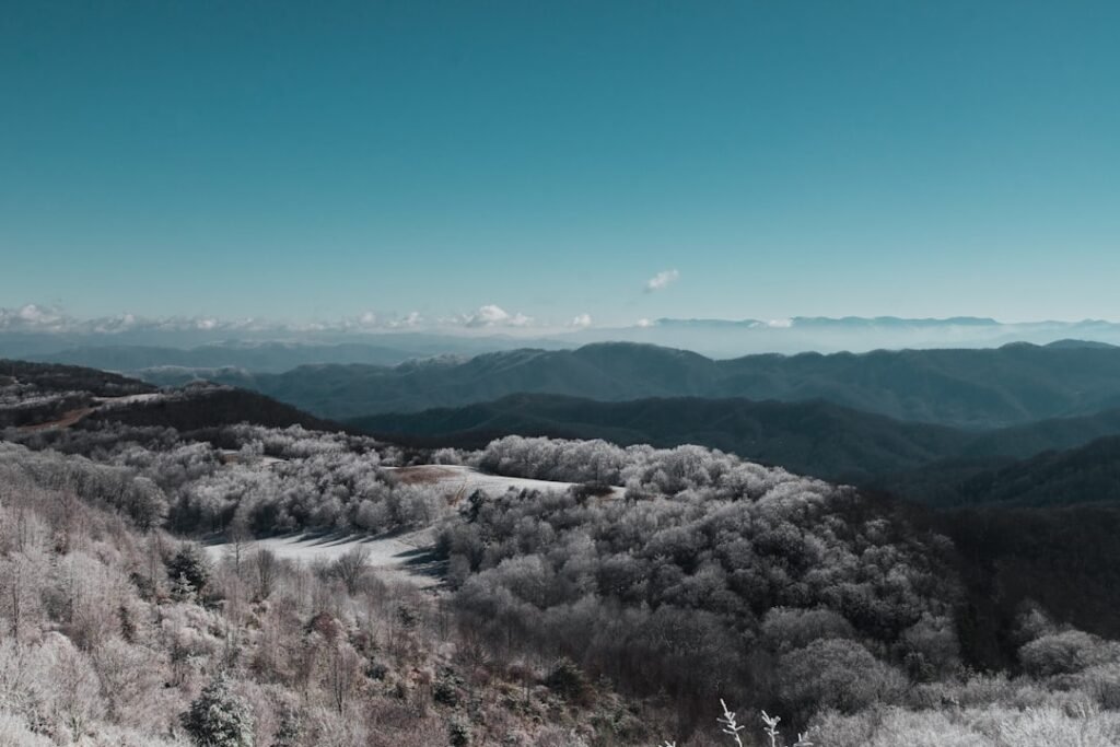 Photo 挪威语心理学词汇8个心理学术语