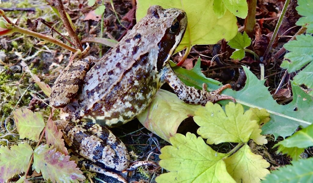 Photo norwegian language course in norway