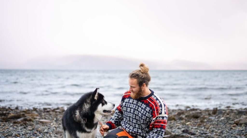 Photo Fjords, Vikings
