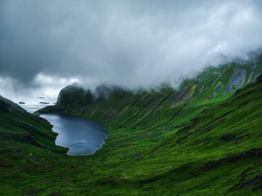 Photo Fjords landscape