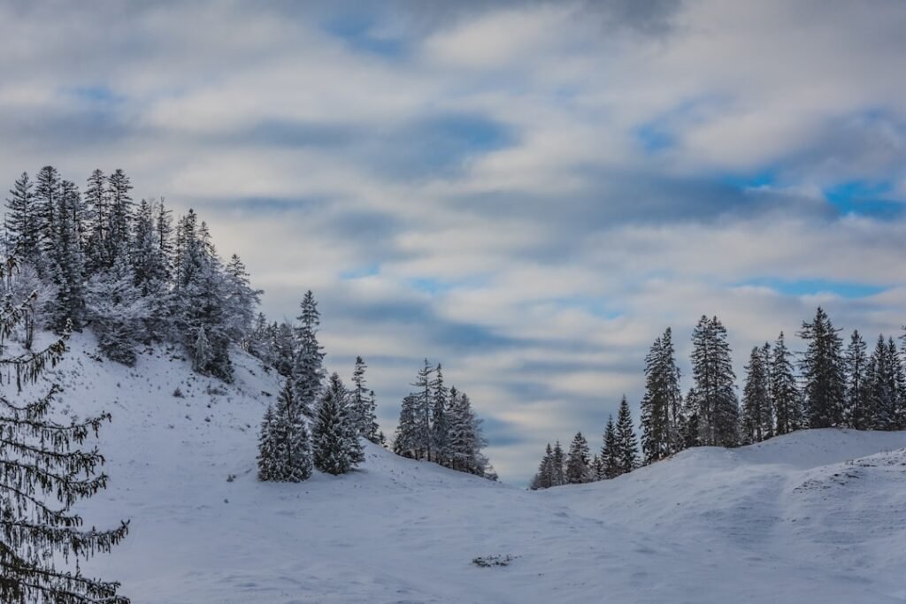 Photo Snowy landscape