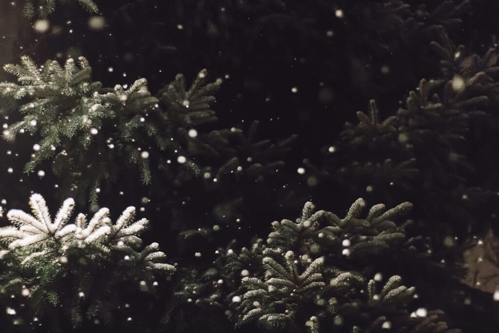 Photo Christmas tree