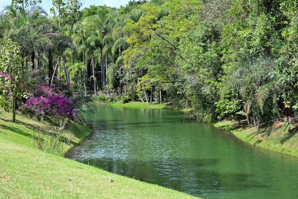 Photo Sculptures, Park
