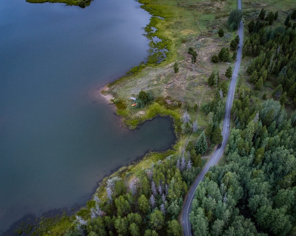 Photo Trees, Lake