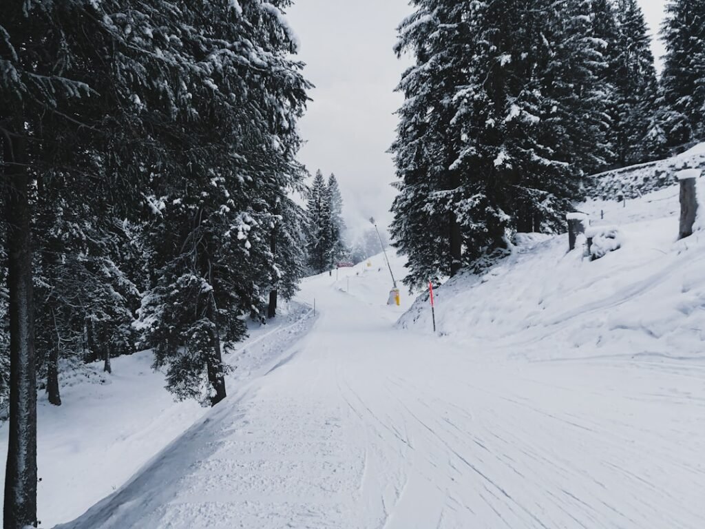 Photo ski slope