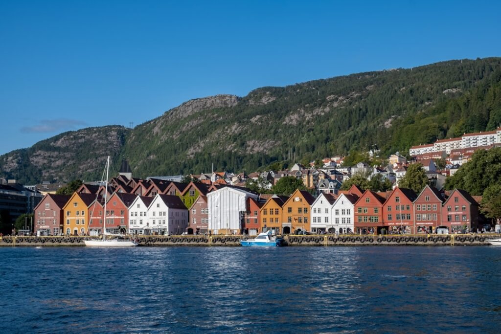 Photo Norwegian dog