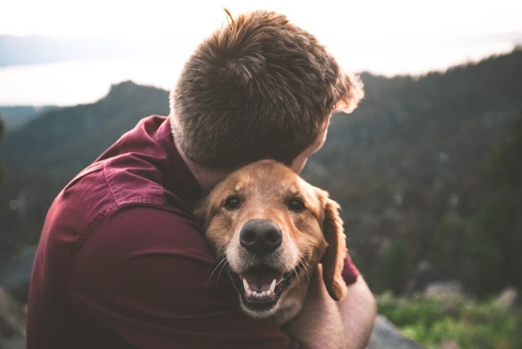 Photo Lundehund dog: Puffin hunter