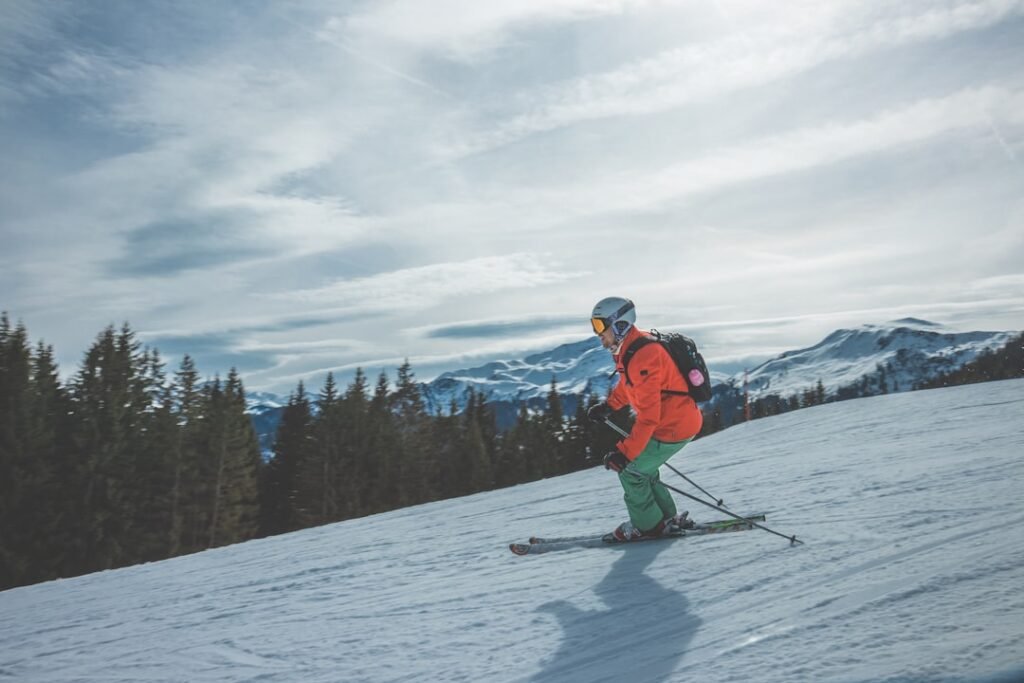 Photo Norwegian inventions: Ski, salmon