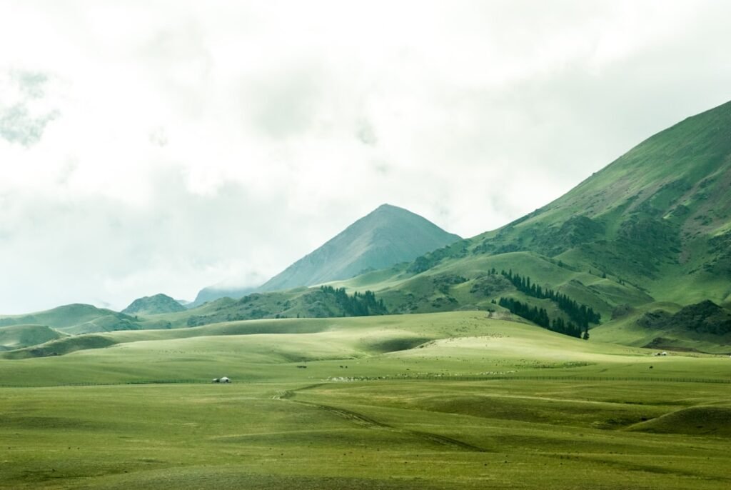 Photo Norwegian farewell: fjord landscape