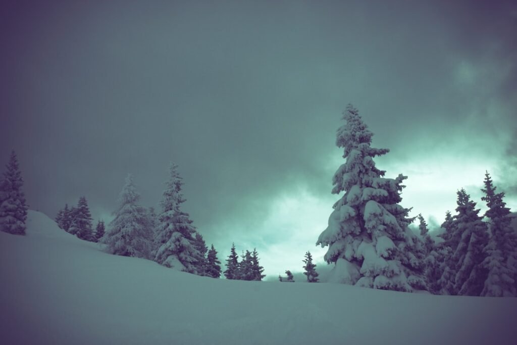Photo Snowy landscape