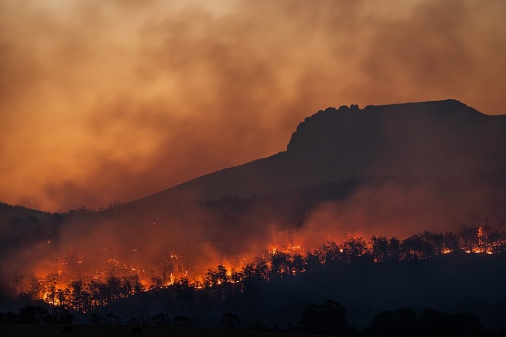 Photo Forest, Climate Change