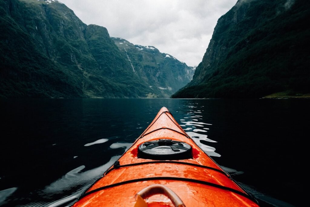 Photo Forest conservation: Trees, Norway