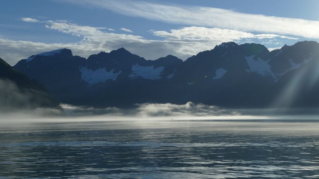 Photo Fjord cruise