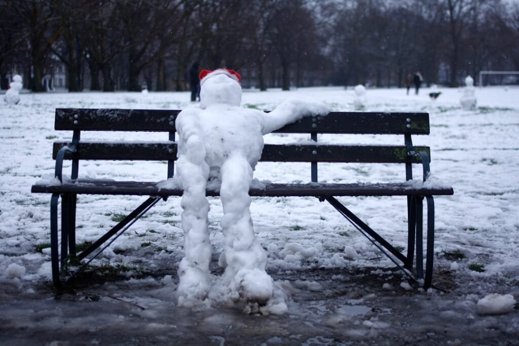 Photo Snowman, thriller