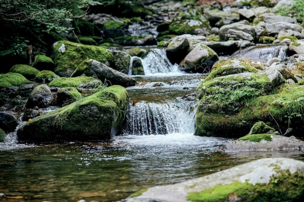 Photo River rapids