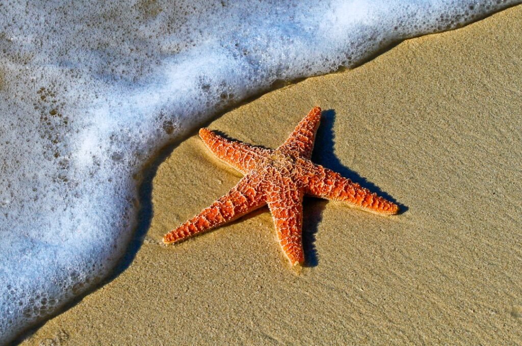 Photo Beach scene