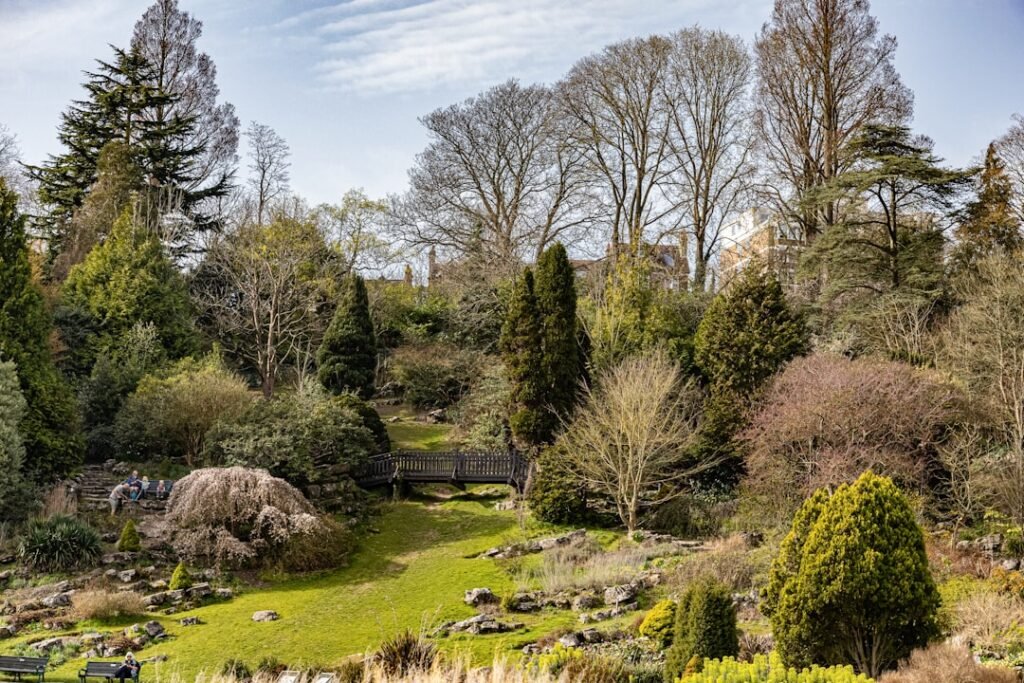 Photo Cottage garden