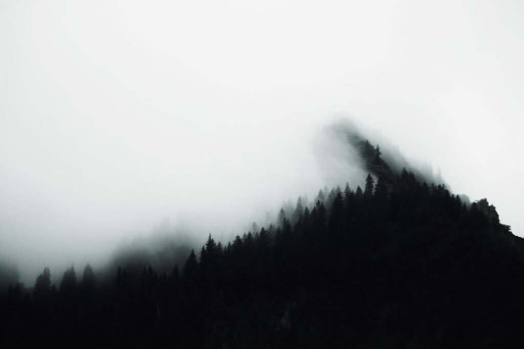 Photo Fjords, Mountains