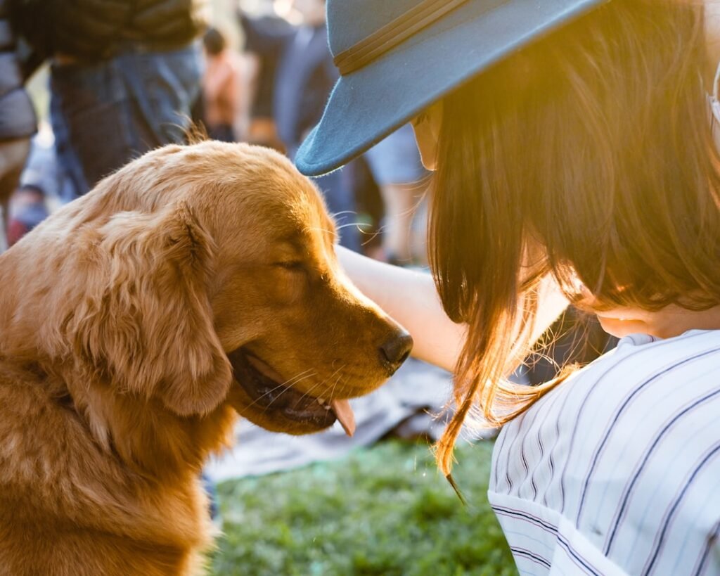 Photo Dog training