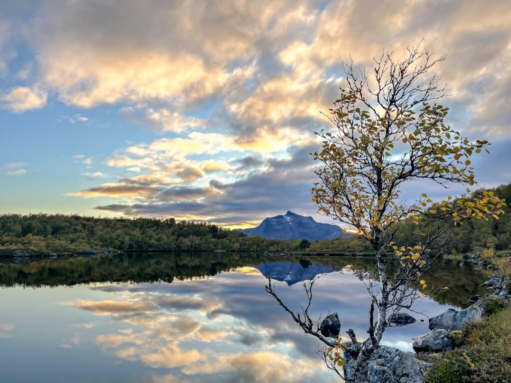 Photo Norwegian ethics