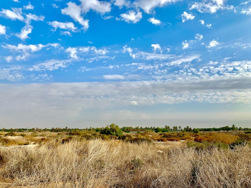 Photo Rural landscape