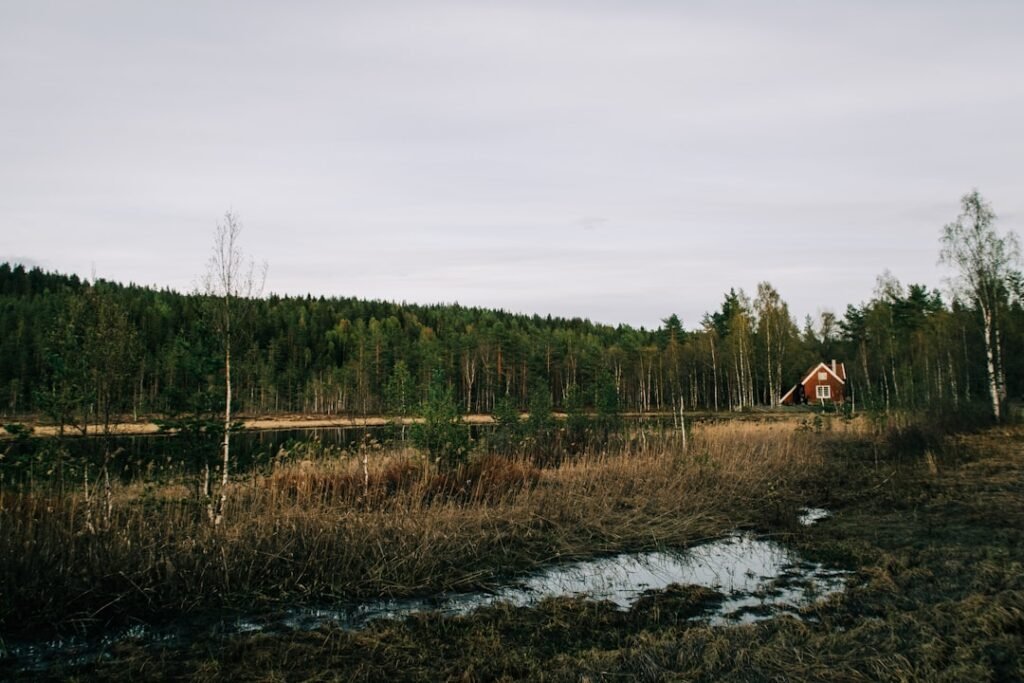 Photo Norwegian population