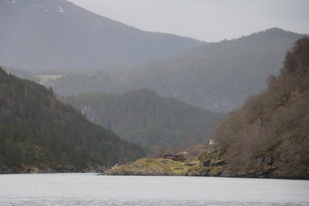 Photo Fjord cruise