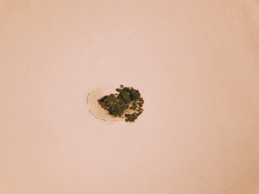 Photo Green oasis