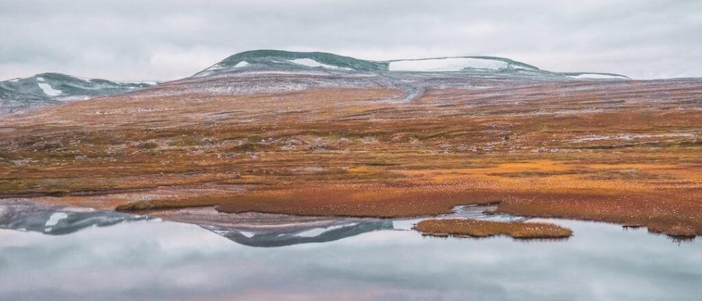 Photo Norwegian comedian