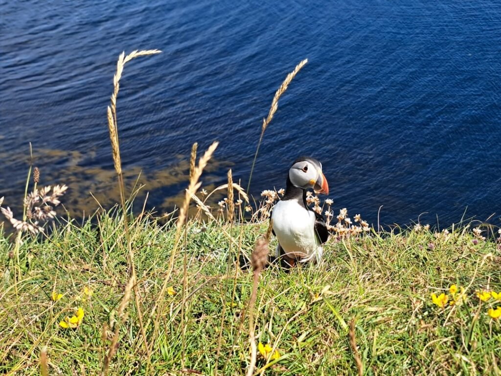 Photo Island hopping