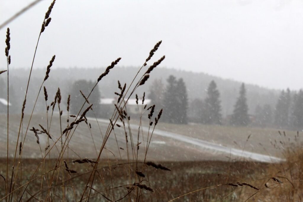 Photo Weather forecast