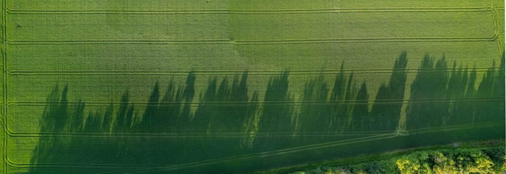 Photo Sustainable farming