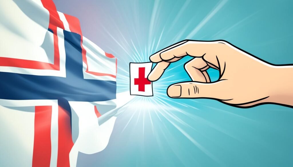 《如何使用挪威的医疗体系：外国人指南》