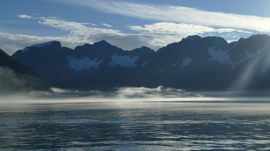 Photo Fjord cruise