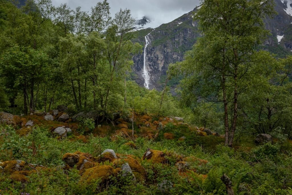 Photo Norwegian Idioms