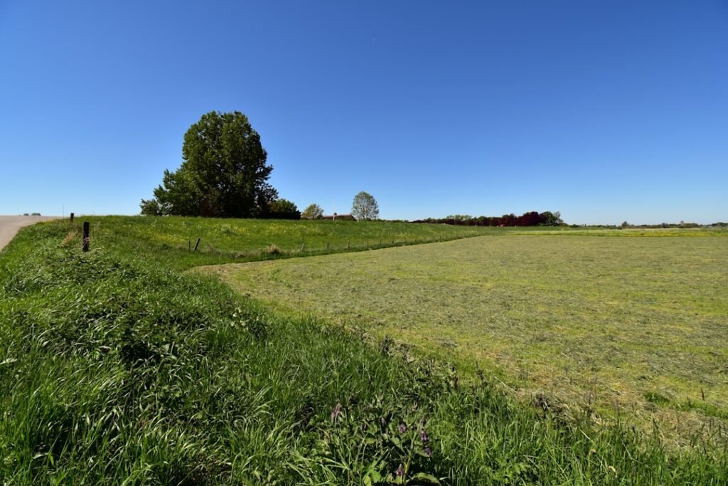 Photo Idyllic landscape