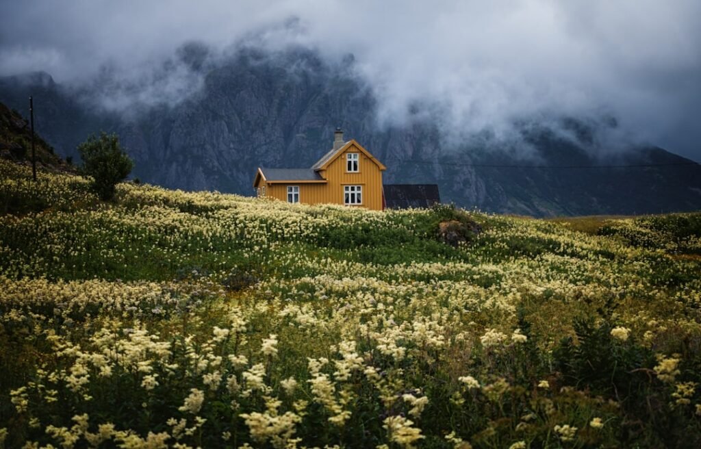 Photo Norwegian landscape