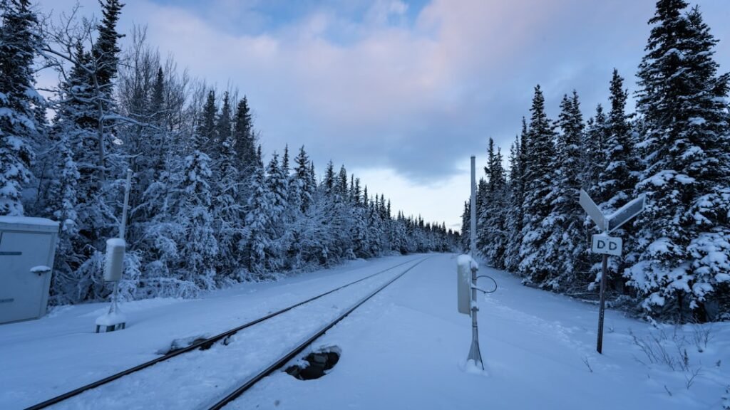 Photo Scenic Railway