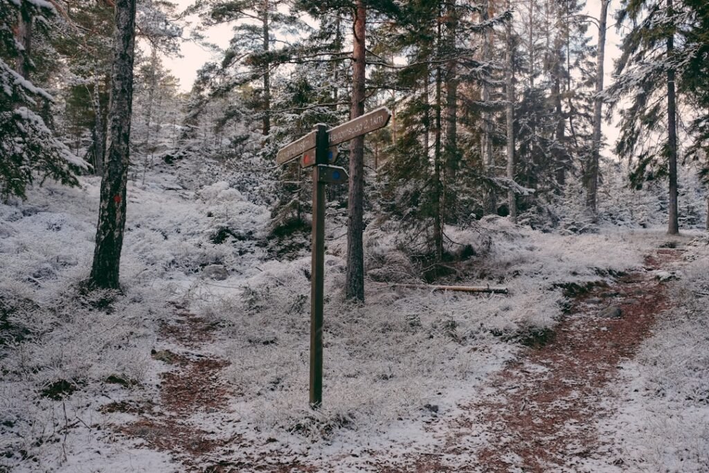 Photo Directional arrows