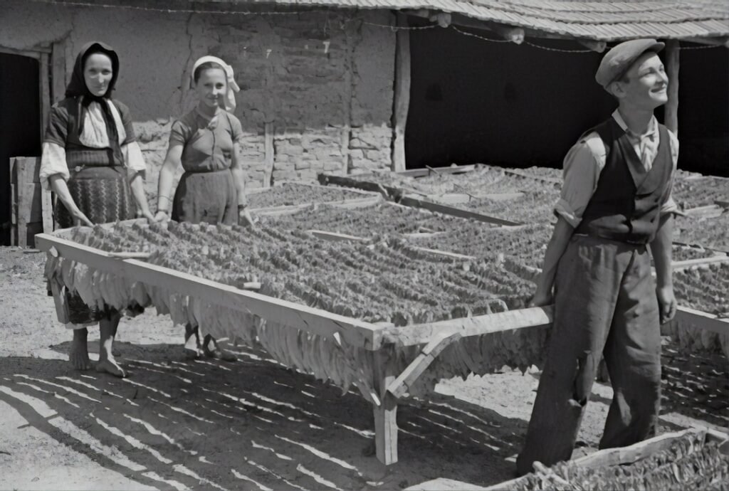 Photo Adaptable workforce