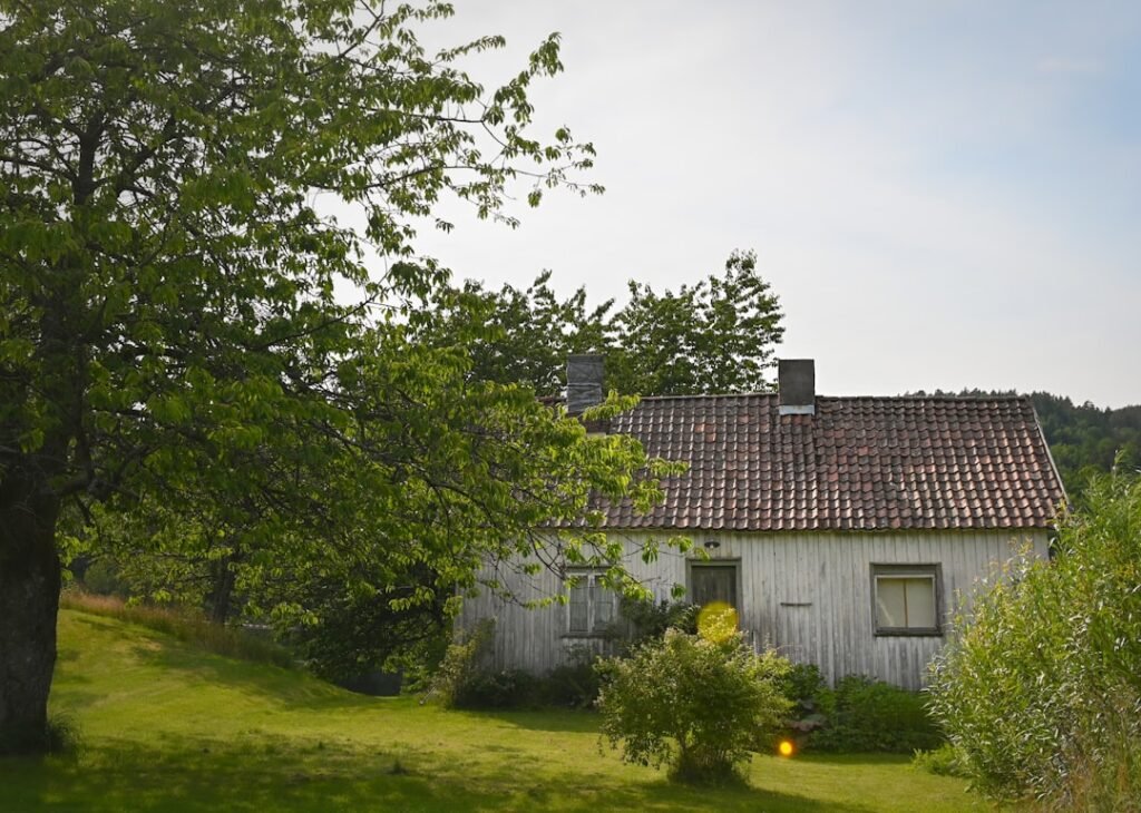 Photo Norwegian countryside