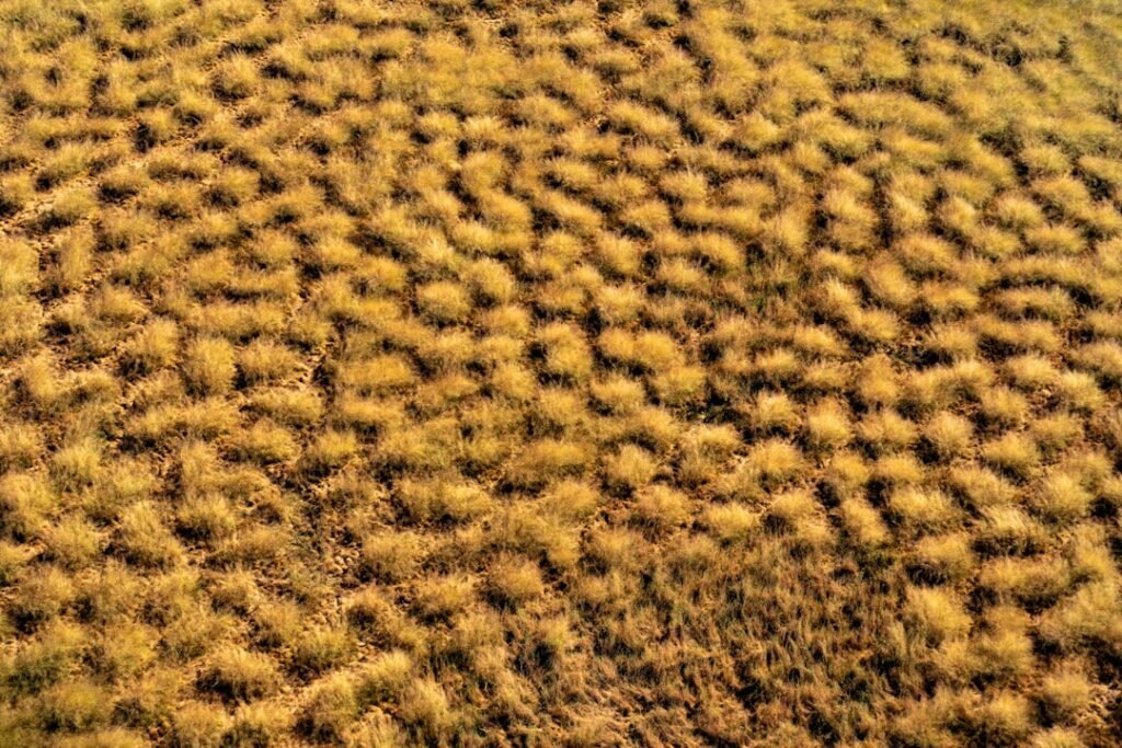 Photo Scenic landscape