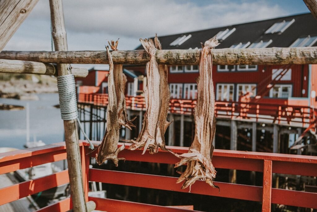 Photo Norwegian seafood