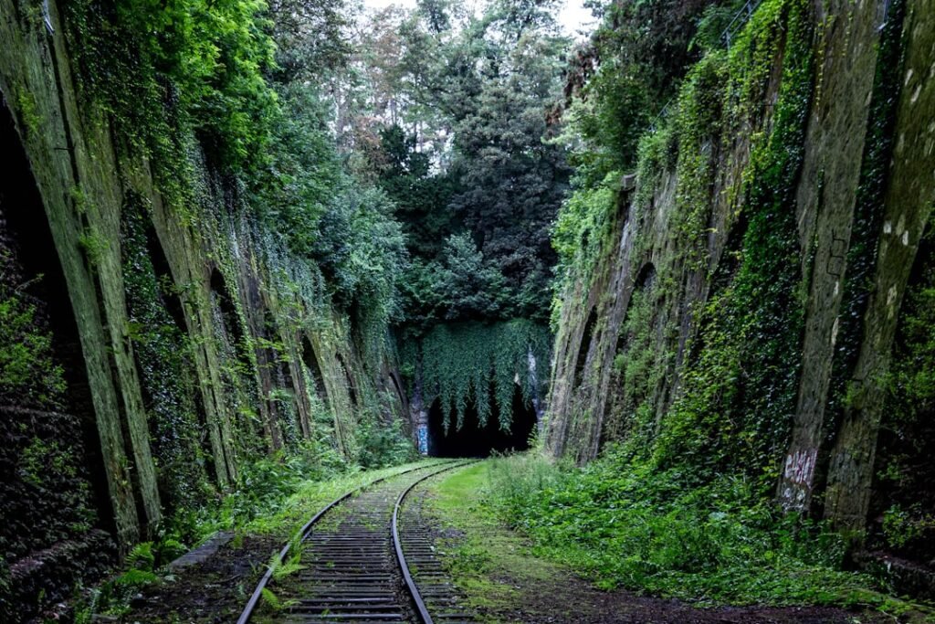 Photo Scenic Railway