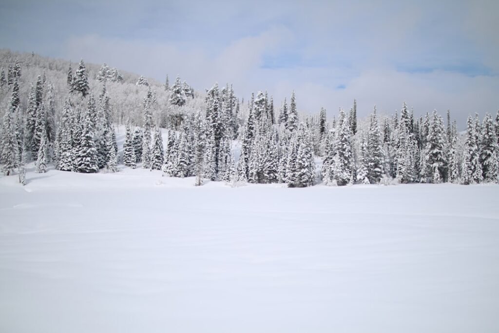 Photo Snowy landscape