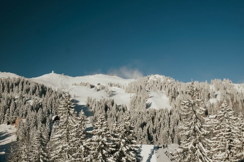 Photo Ski slope