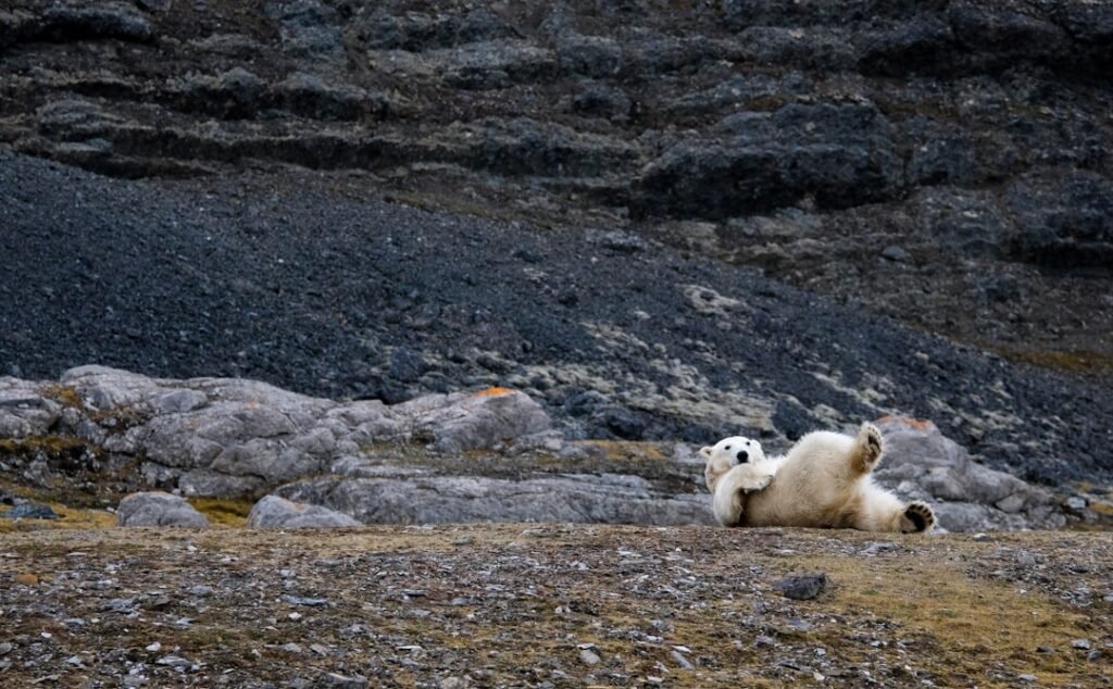 Photo Svalbard