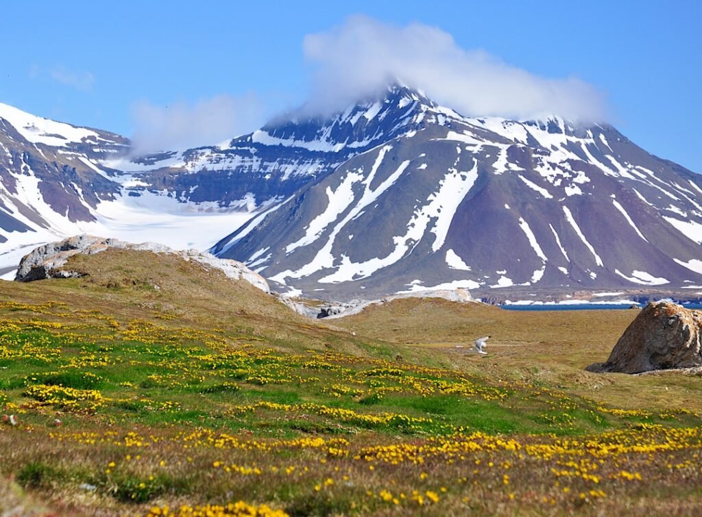 Photo Svalbard